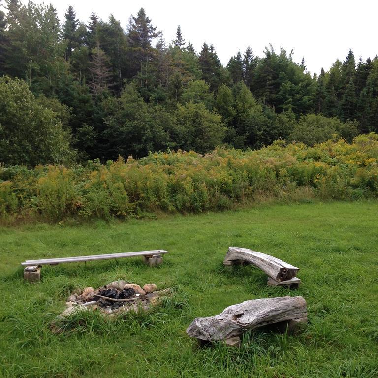 Breton Cove Farmhouse Affittacamere Indian Brook Esterno foto