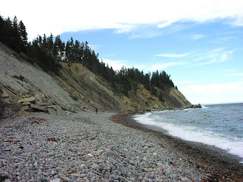 Breton Cove Farmhouse Affittacamere Indian Brook Esterno foto