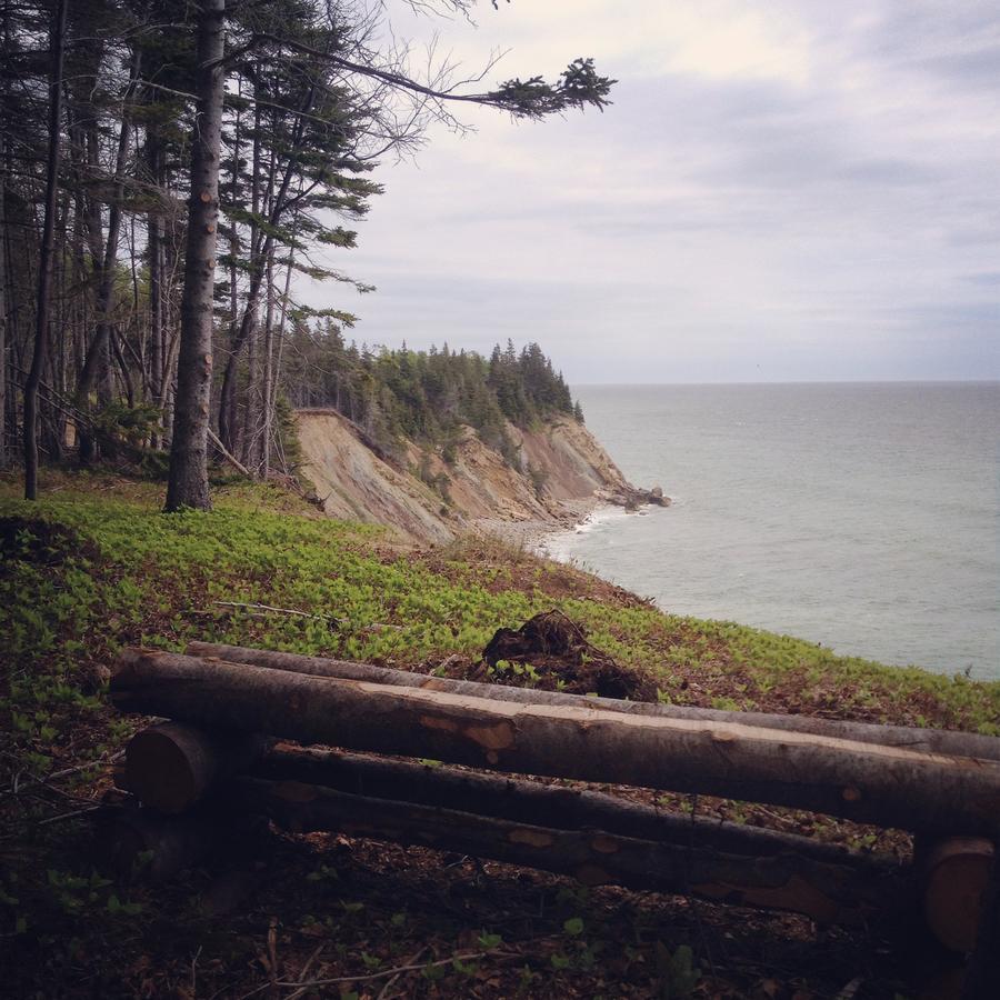 Breton Cove Farmhouse Affittacamere Indian Brook Esterno foto